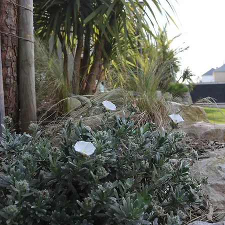 Villa La Thelma 5 Etoiles, Piscine, Sauna Et Jacuzzi Granville