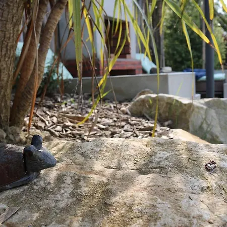 La Thelma 5 Etoiles, Piscine, Sauna Et Jacuzzi * Granville