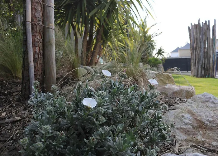 Villa La Thelma 5 étoiles, Piscine, Sauna Et Jacuzzi Granville