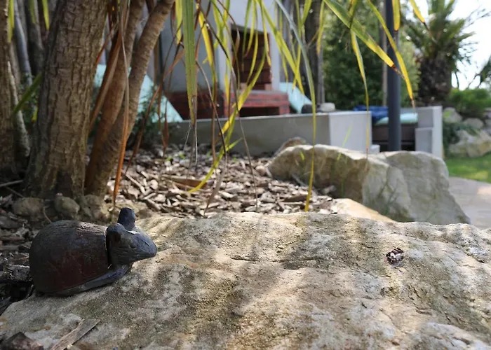 La Thelma 5 étoiles, Piscine, Sauna Et Jacuzzi * Granville